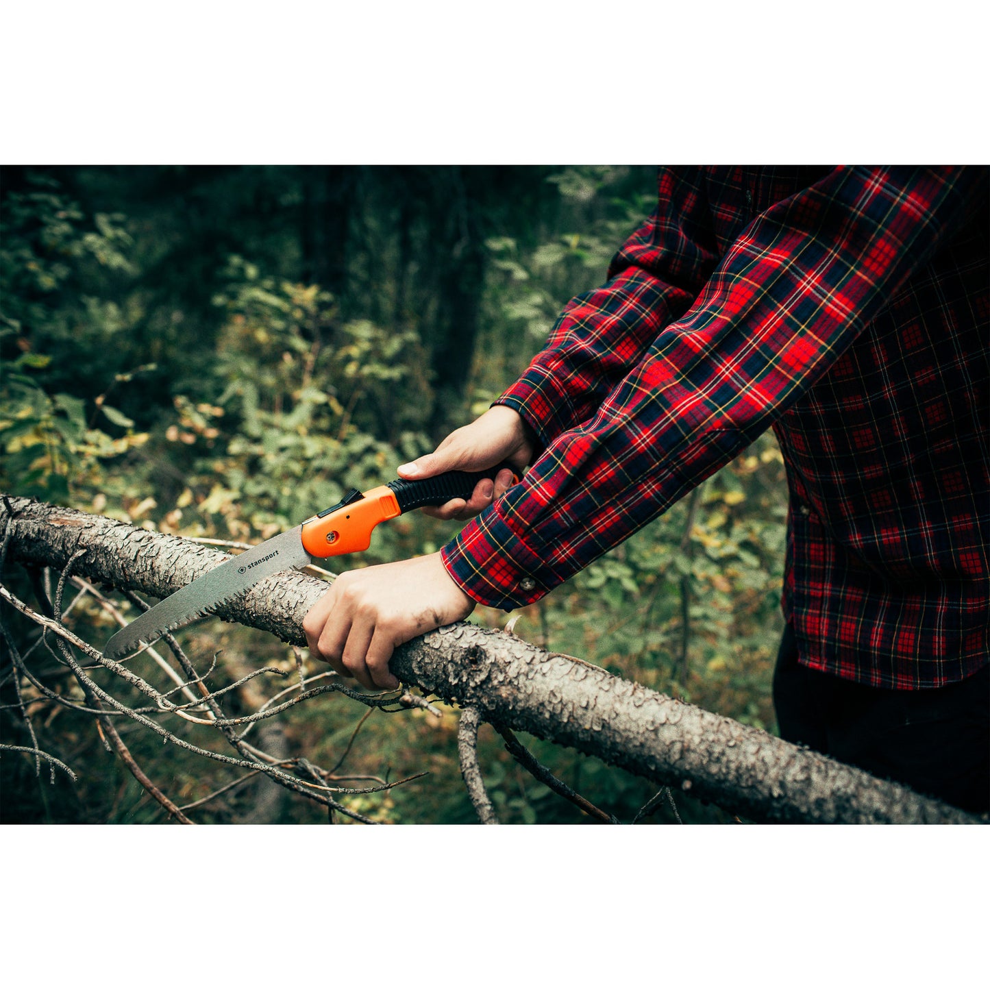 SIERRA PLEGABLE STANSPORT CAMPER'S SAW#4