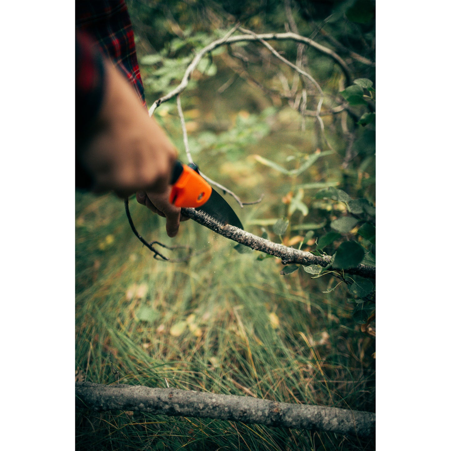 SIERRA PLEGABLE STANSPORT CAMPER'S SAW