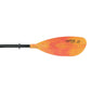 REMO CARLISLE MAGIC 240CM