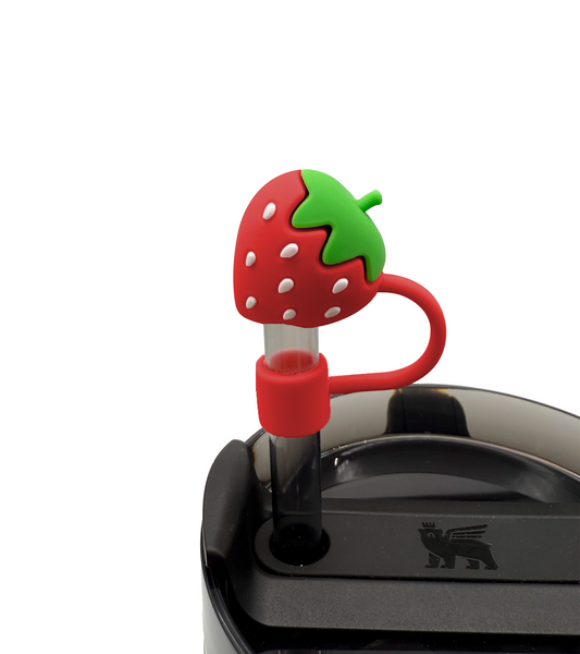 Fundas para pajillas Set #2 de 5 tapas